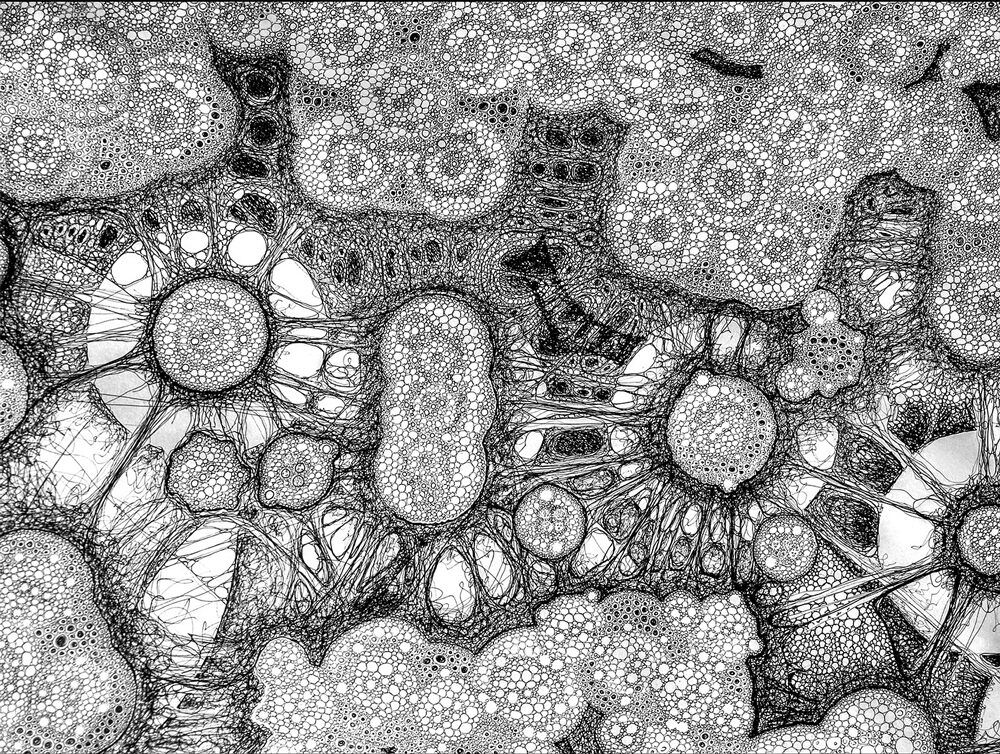 Œuvre de l’Artiste 1