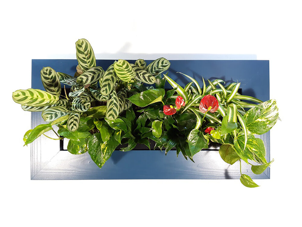 Œuvre de l’Artiste 1