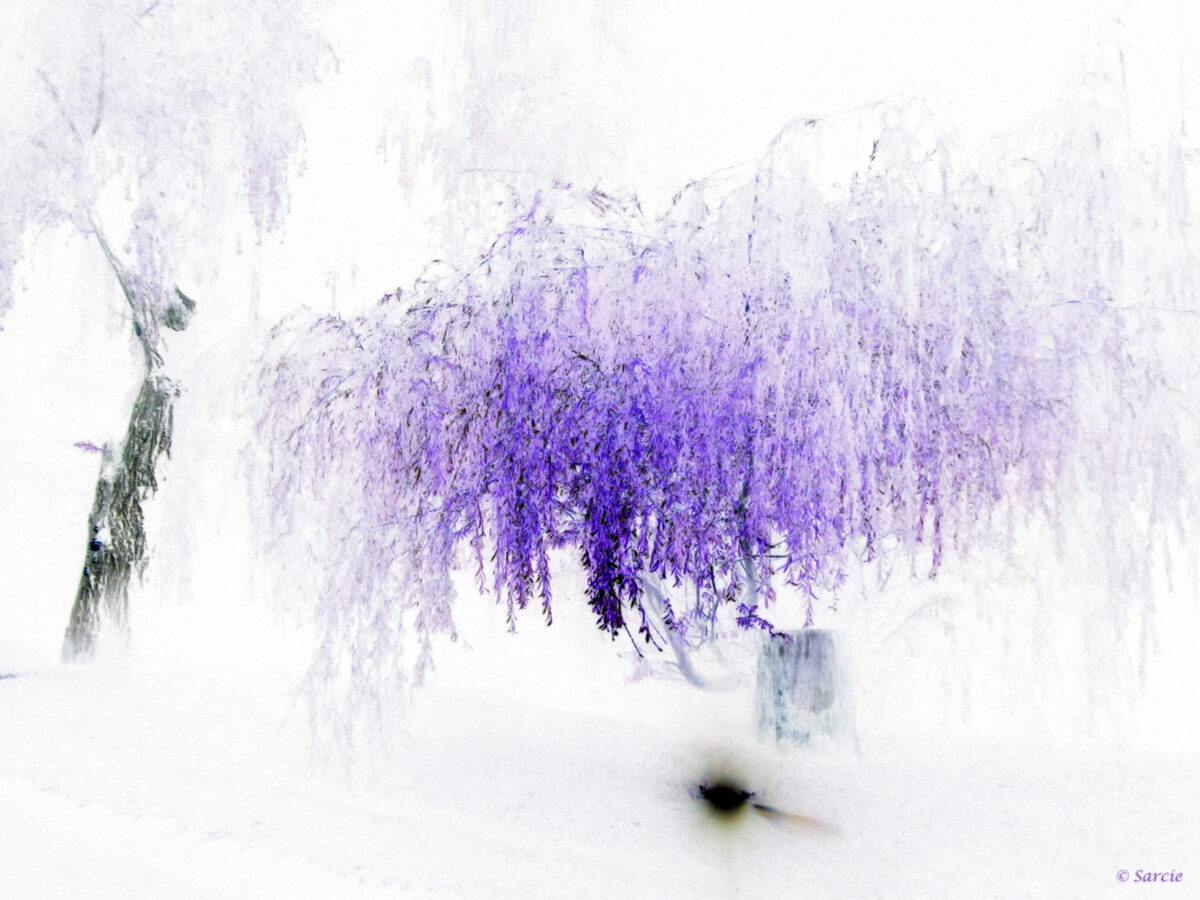 Œuvre de l’Artiste 11