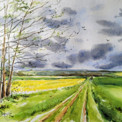 Batsche_Champ_De_Colza_visuel_OK-1