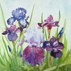 Marechal_Elizabeth_visuel_OK-1