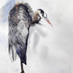 LeGrandHeron38x29Batsche2021