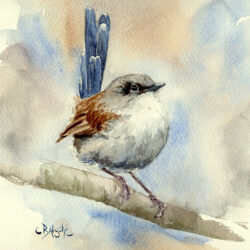 PetitRoitelet17x232021