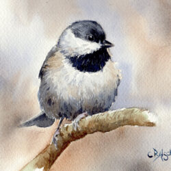 mesangeTeteNoire17x232021VENDU