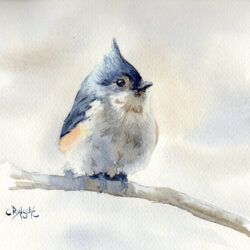 mesangeTouffue17x232021VENDU