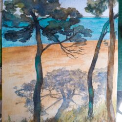 Les pins d’Arcachon