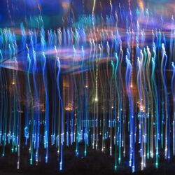 Jardin-du-musee-du-Quai-Branly-ss