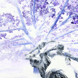 Rodin-sous-le-chene-violet-40-x-60-ss-2