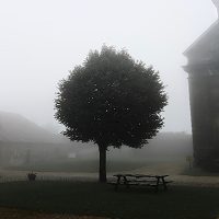 Junquet_visuel_OK